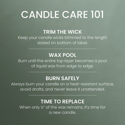 Scripted Spruce 3-Wick Candle