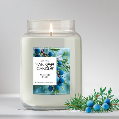 Winter Pine Original Large Jar Candle