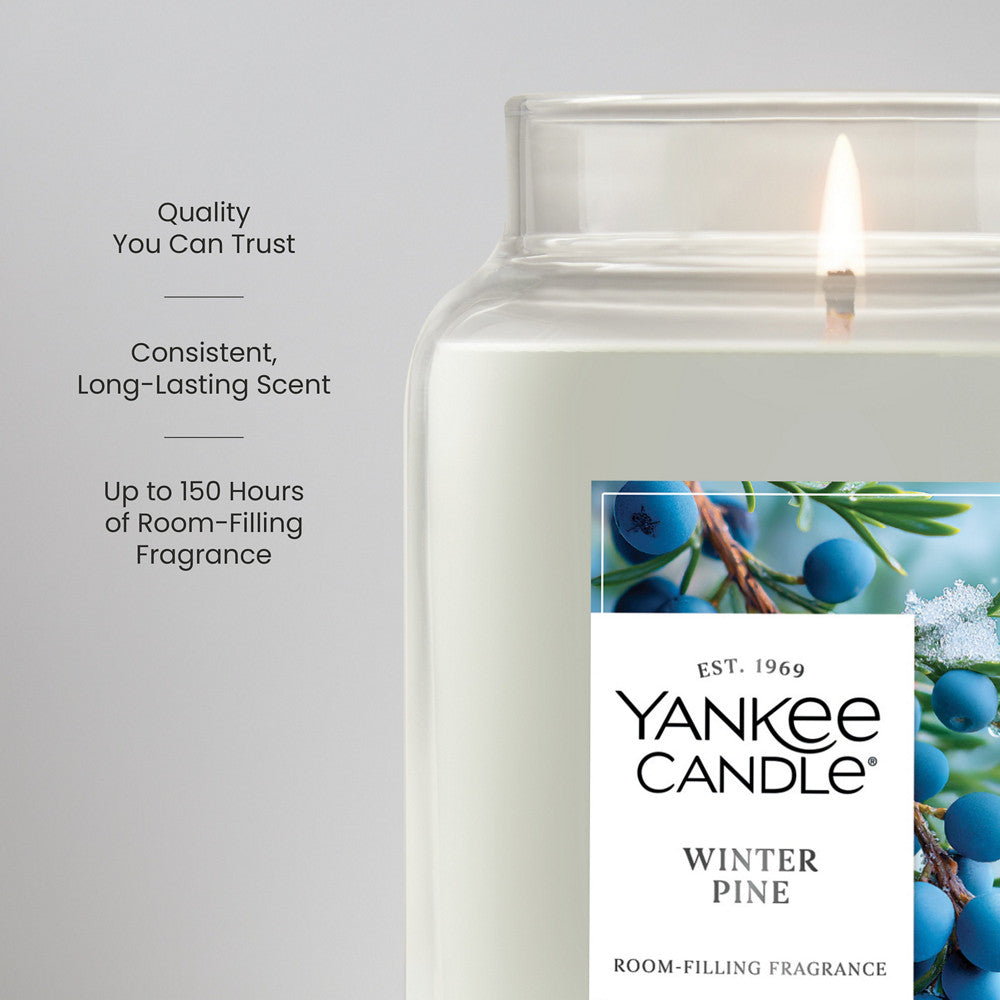 Winter Pine Original Large Jar Candle