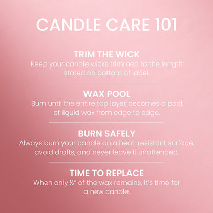 Pink Poinsettia Original Large Jar Candle