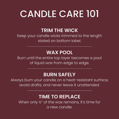 Spiced Fruitcake Original Large Jar Candle