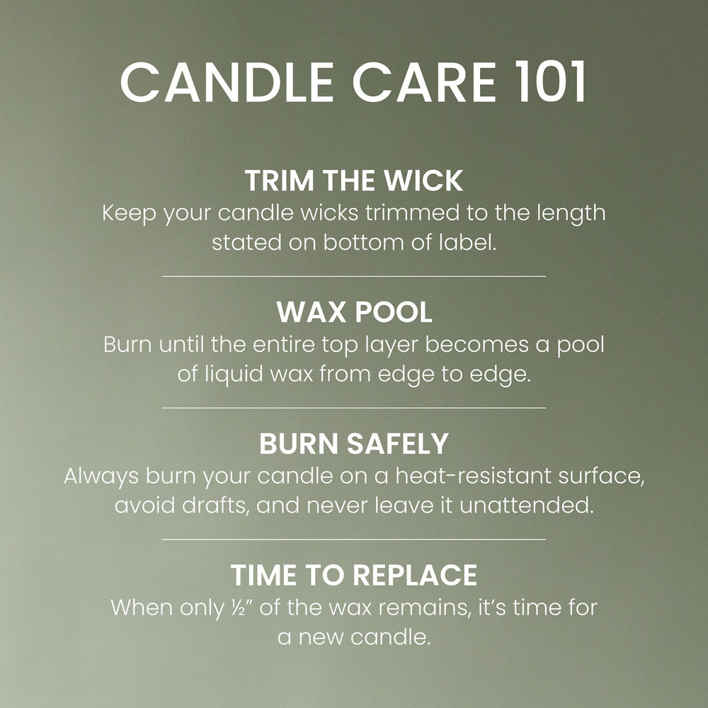 Cardamom Woods Original Large Jar Candle