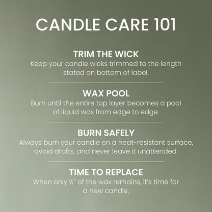 Cardamom Woods Original Large Jar Candle