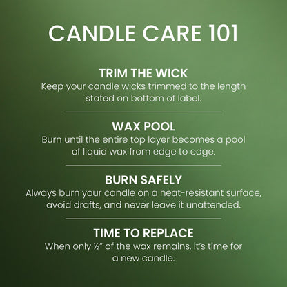 Balsam & Cedar Small Tumbler Candle