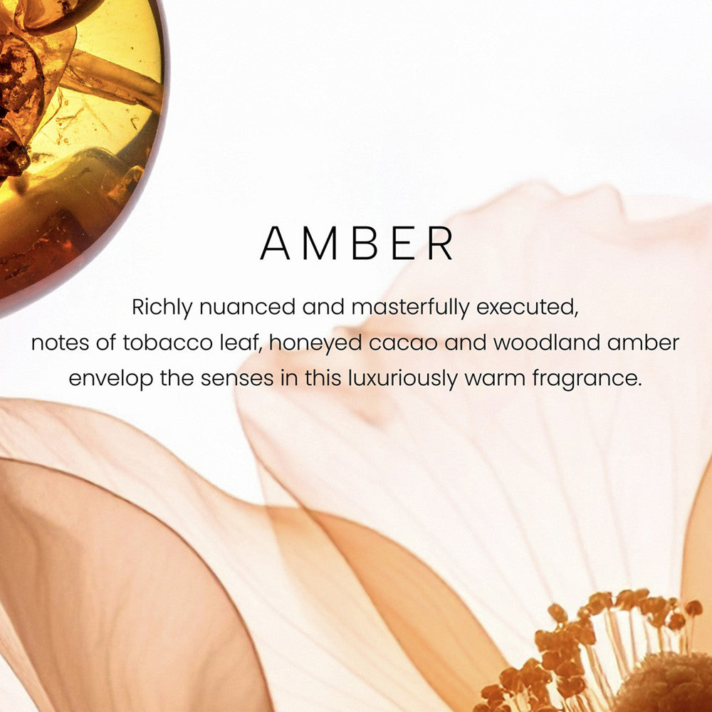 Amber Premium Two-Wick 12oz Candle