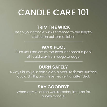 Balsam & Cedar Fireside Original Large Jar Candle