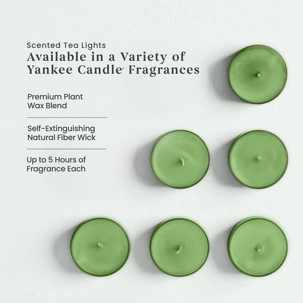 Mistletoe™ Scented Tea Light Candles