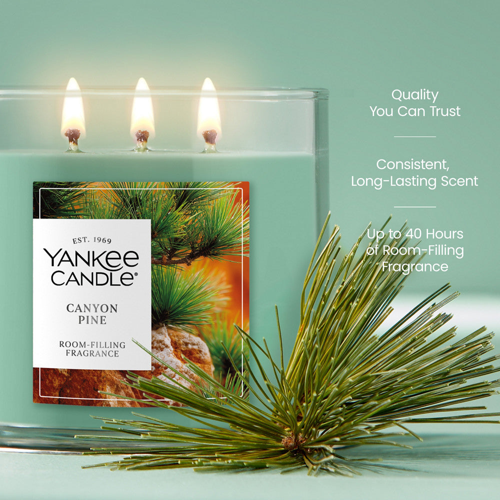 Canyon Pine 3-Wick Candle