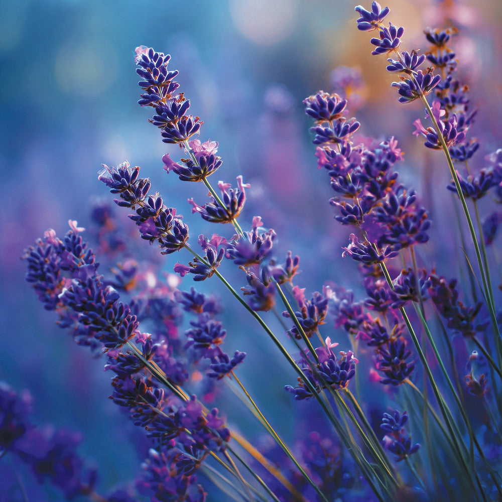 Lavender Dusk Small Tumbler Candle