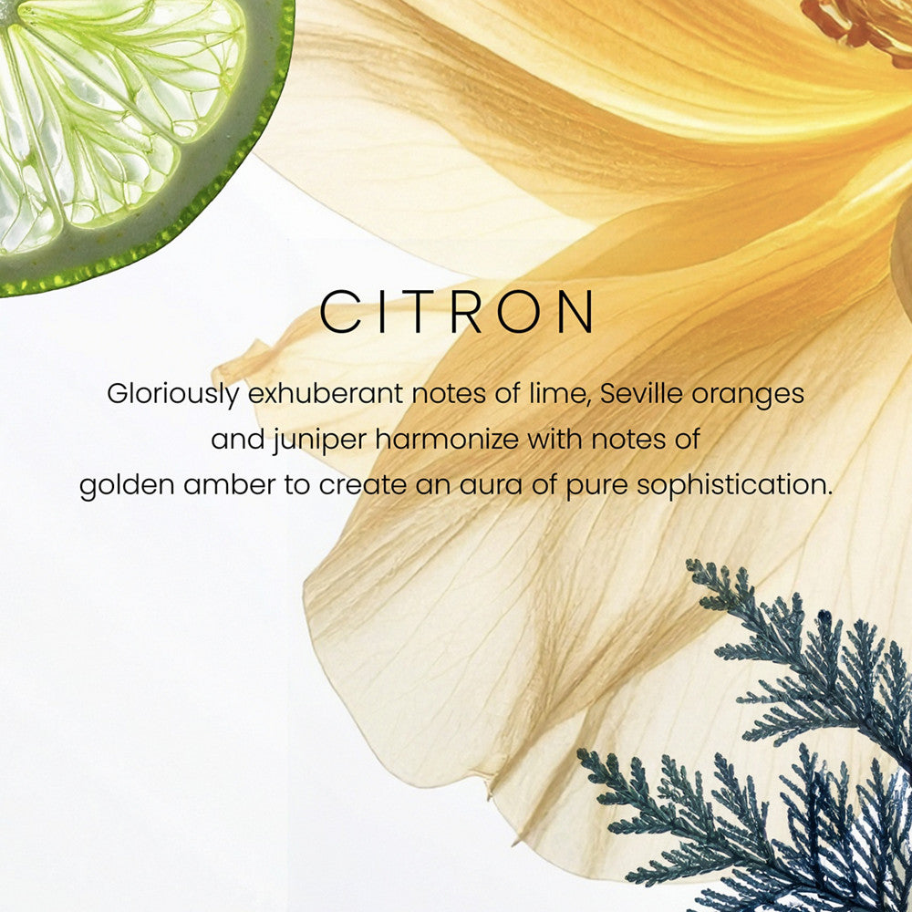 Citron Premium Two-Wick 12oz Candle